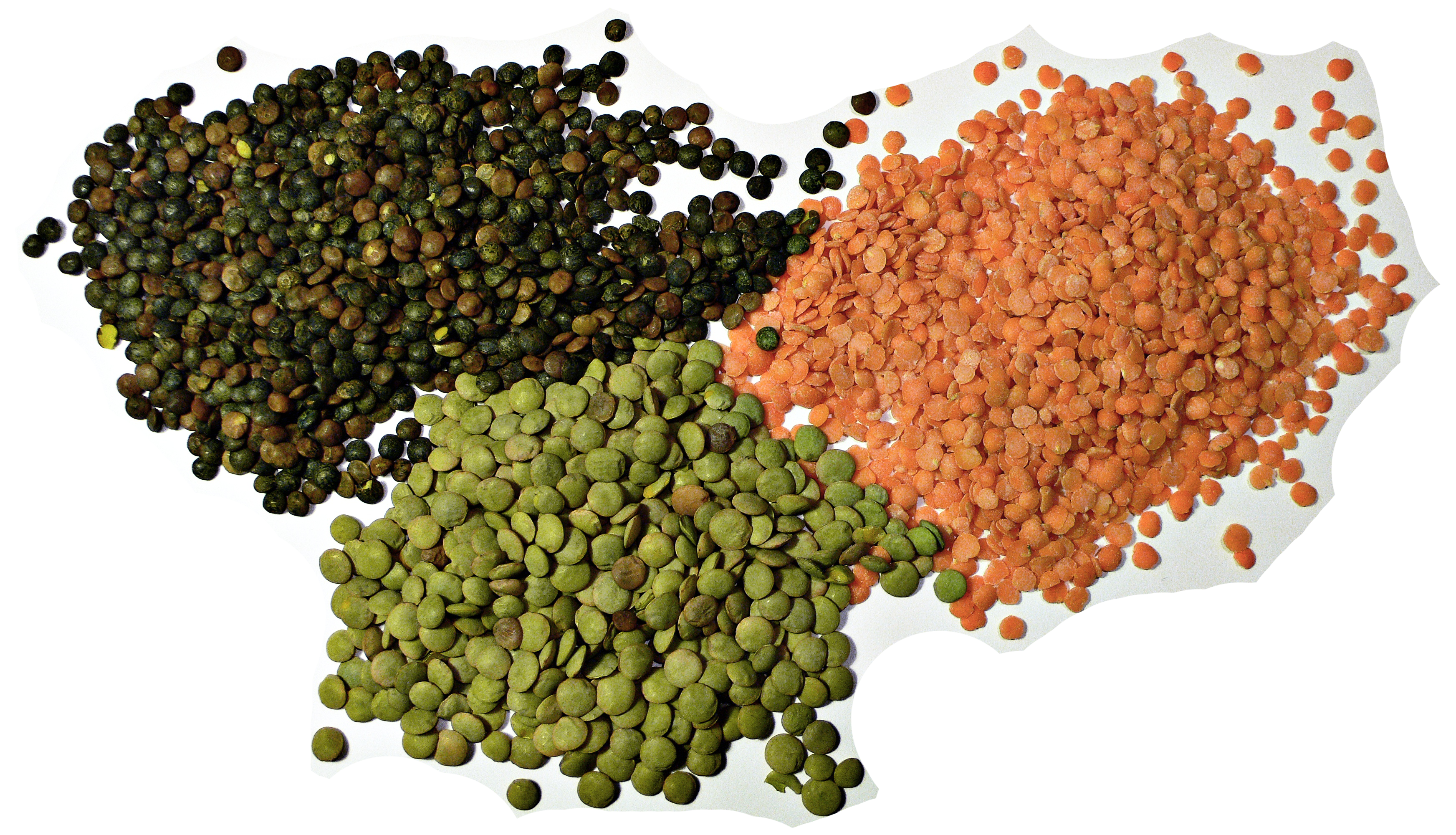 Masoor Daal