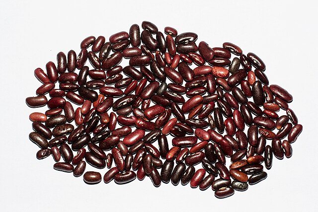 Rajma